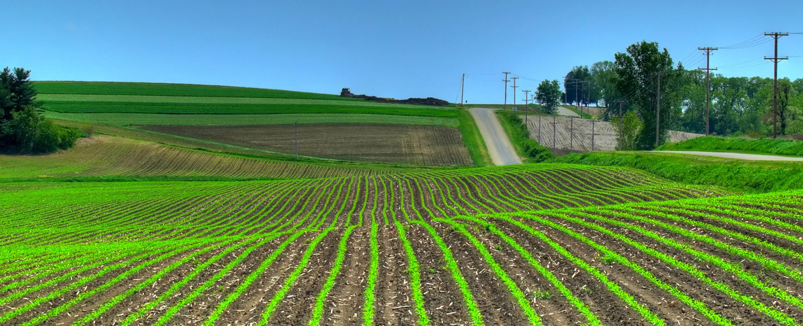 Organic humate fertilizers