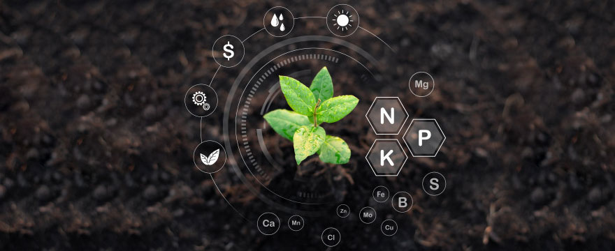 turps-mullaviljakus-artiklid