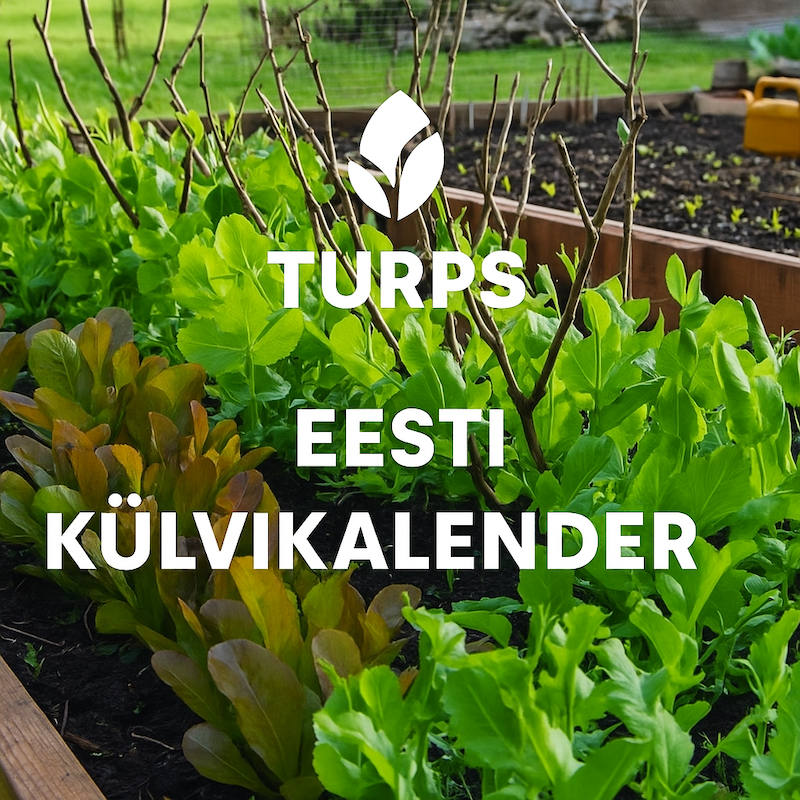 eesti külvikalender turps some