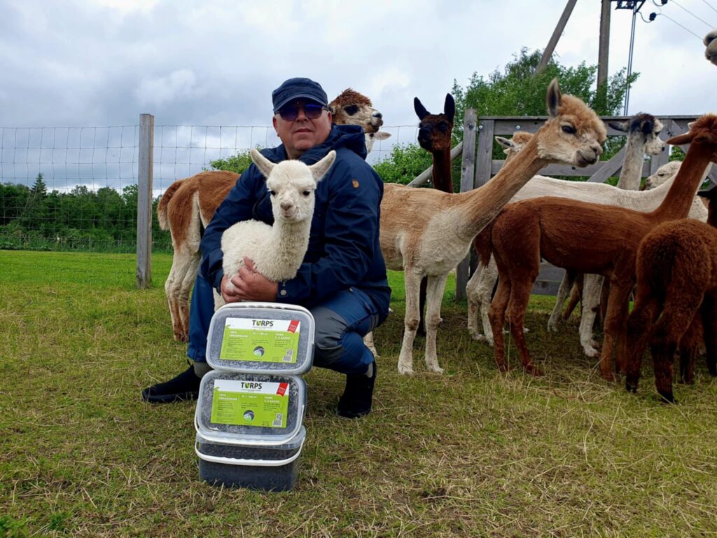 turps wile alpakafarm avatud talude päev 2025